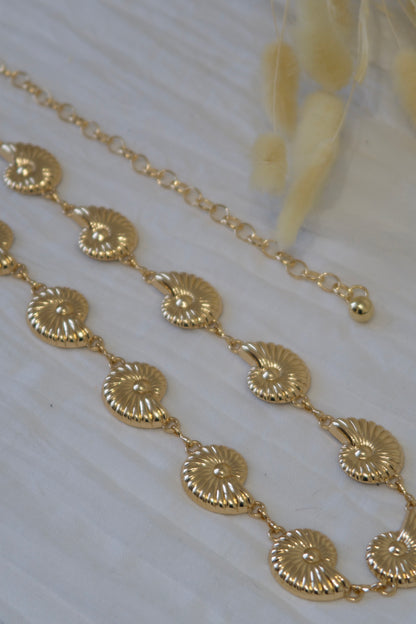 Ceinture coquillage