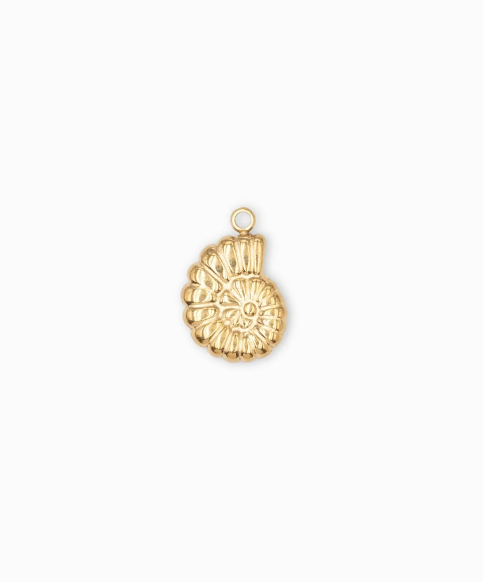 Charm Ammonite